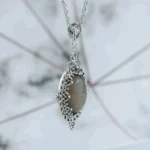 551453786_large.webp